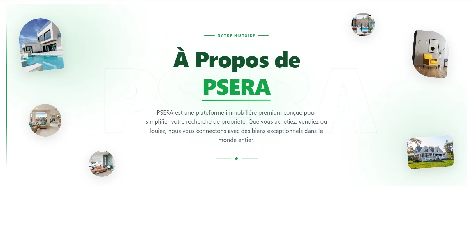Aperçu du projet Psera — capture 2